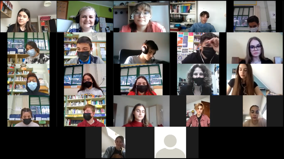 Obraz Videokonferencja RRR