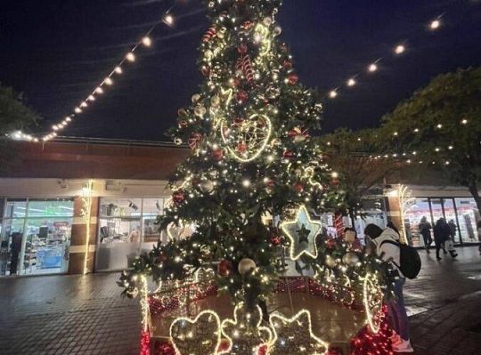 Polish and German Christmas traditions: Polish-German youth exchange in Gdansk