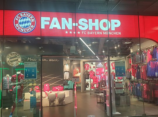 Erasmus+, Portugalia