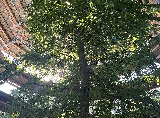 Polsko- niemiecka wymiana w Stralsundzie pt.:  „Was verbindet?”- „Co łączy?