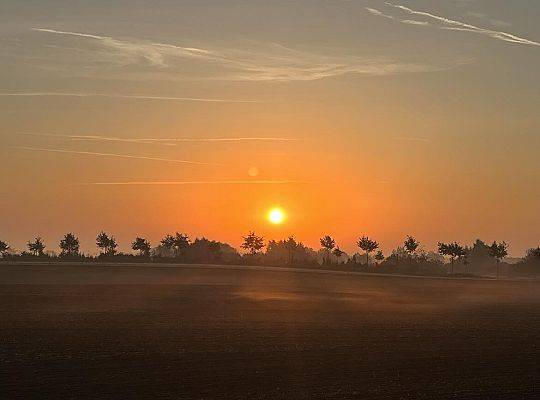 Polsko- niemiecka wymiana w Stralsundzie pt.:  „Was verbindet?”- „Co łączy?