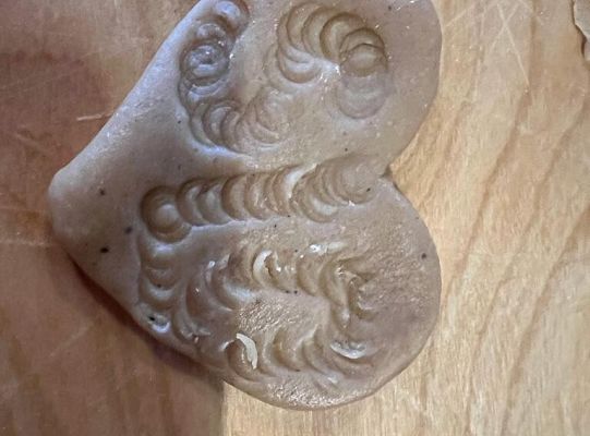 Erasmus+ w SLO w Lęborku, goście ze Słowacji