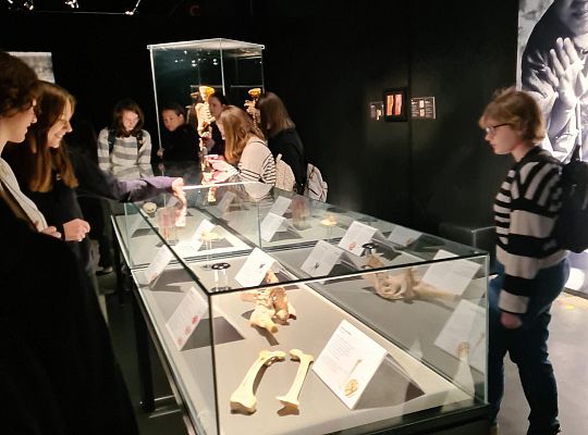 Trip to Body Worlds exhibition