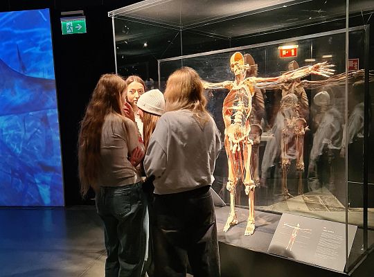 Trip to Body Worlds exhibition