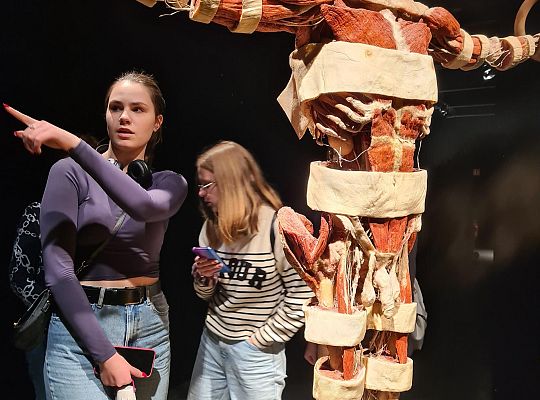 Trip to Body Worlds exhibition