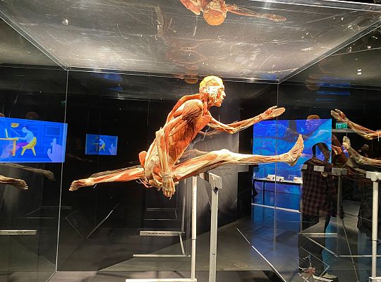 Trip to Body Worlds exhibition