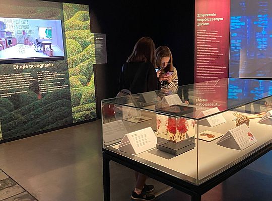 Trip to Body Worlds exhibition