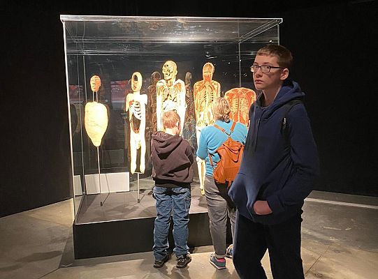 Trip to Body Worlds exhibition