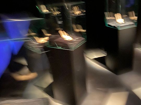 Trip to Body Worlds exhibition