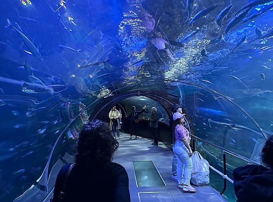 Erasmus+ in Spain, Mungia