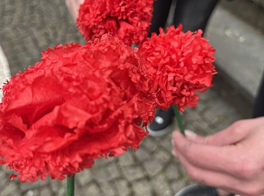 Erasmus+ na Azorach-Terceira, Portugalia