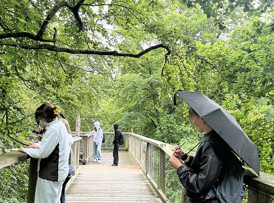 Polish-German students exchange on Rugen Island