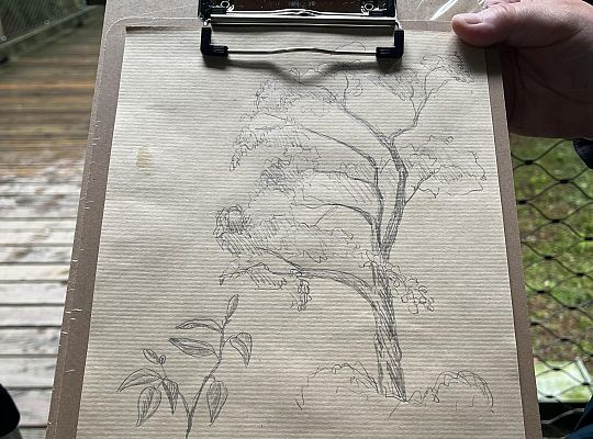 Polish-German students exchange on Rugen Island