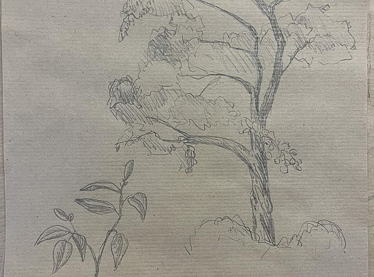 Polish-German students exchange on Rugen Island