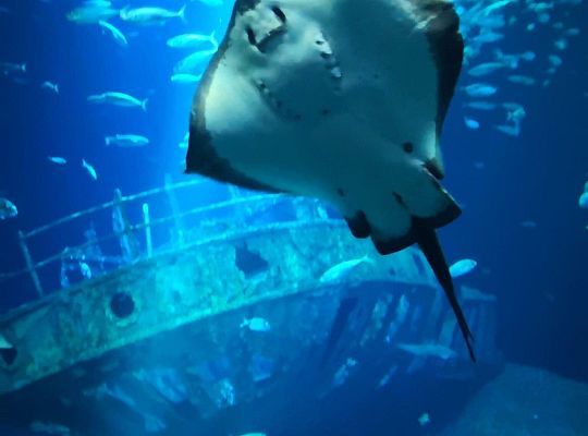 Polish-German students exchange on Rugen Island