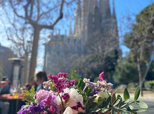 Kursy dla nauczycieli w ramach projektu Erasmus+ w Barcelonie 2024