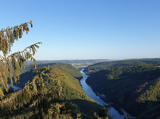 Erasmus+ Projects 2024/2025