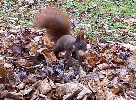 Polish-German youth exchange in Gdansk